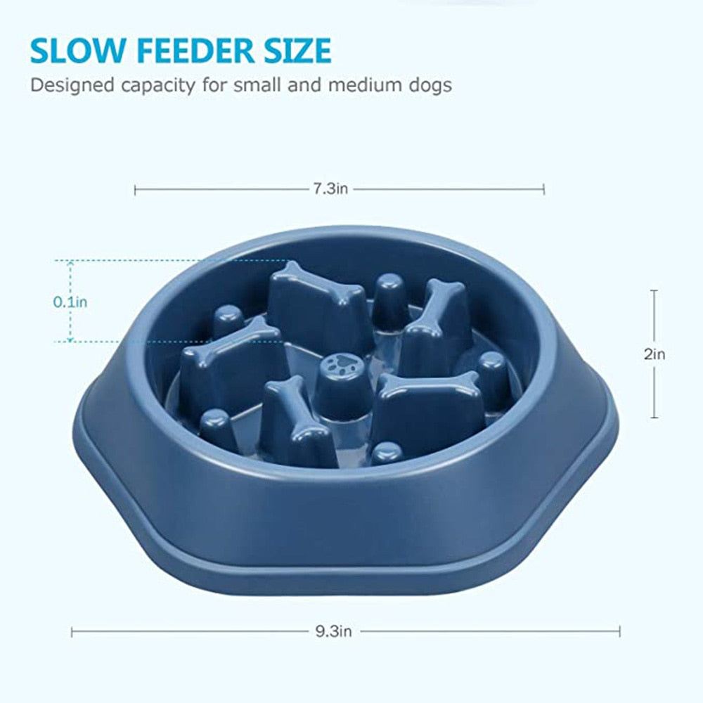 Slow Feeder Bone Design Pet Bowl