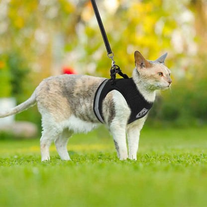 Harnais et laisse pour animaux de compagnie CozyCat