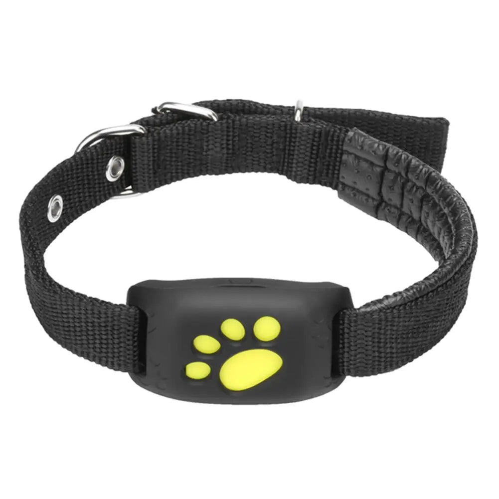 Collier de suivi GPS pour animaux de compagnie