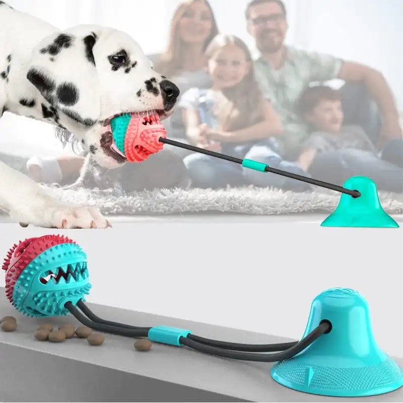 Jouet pour chien à ventouse en silicone