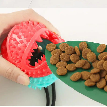 Jouet pour chien à ventouse en silicone