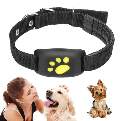 Collier de suivi GPS pour animaux de compagnie