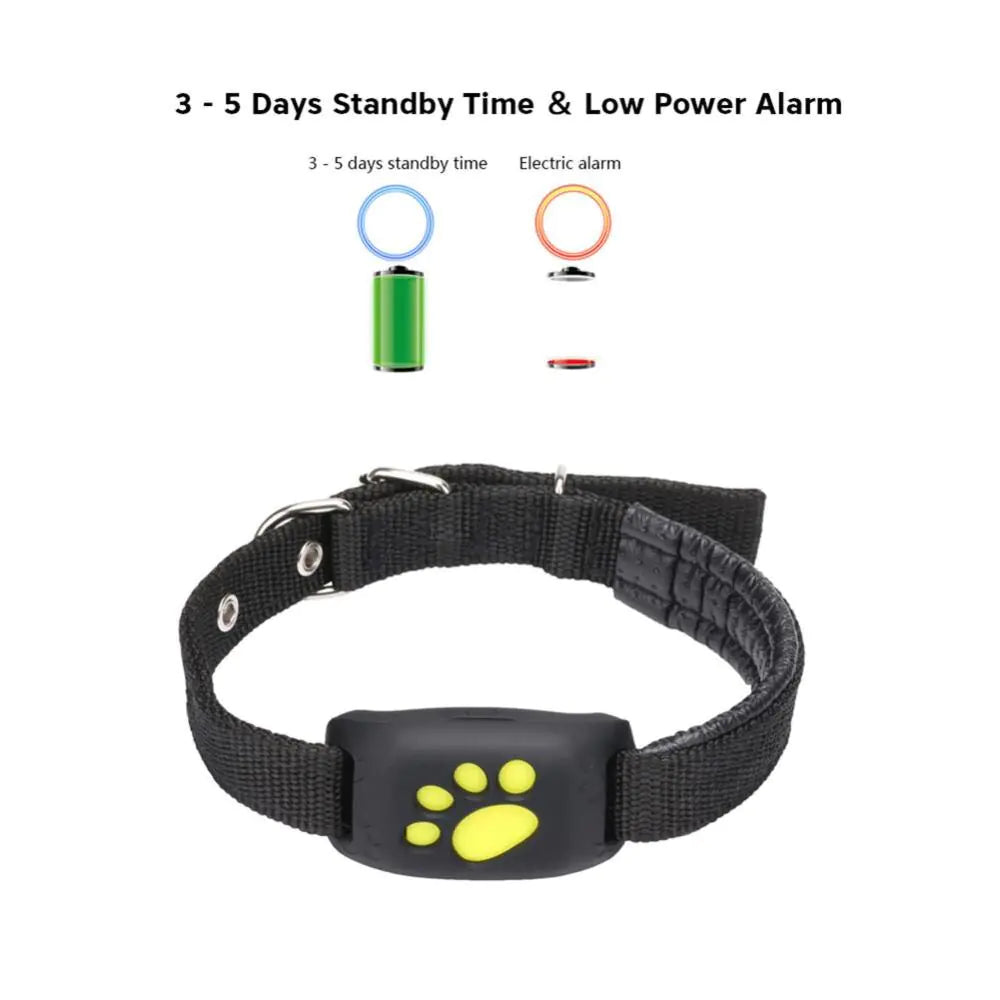 Collier de suivi GPS pour animaux de compagnie